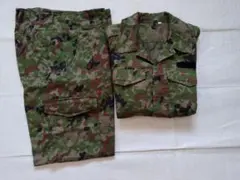 Item thumbnail for item d40955dd-20b9-4949-ac67-4c8600bf6334