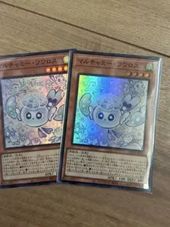 マルチャミーフワロス