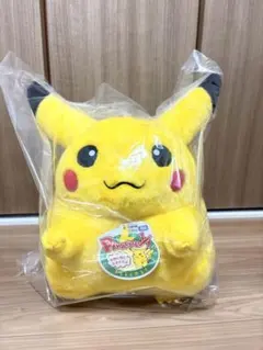 ポケットモンスター ポケモン30周年記念 おかえり！ピカチュウ1/1