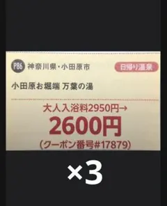小田原お堀端 万葉の湯 日帰り温泉 割引クーポン　3枚のサムネイル
