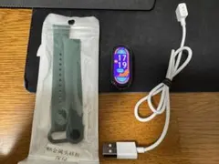 Item thumbnail for item 95f28038-5c68-4571-9c44-8bc4080553e7