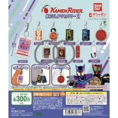 仮面ライダーシリーズ めじるしアクセサリー 仮面ライダー龍騎セット