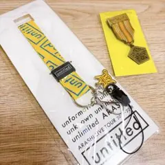 嵐 会場限定 ネックストラップ メダルブローチ