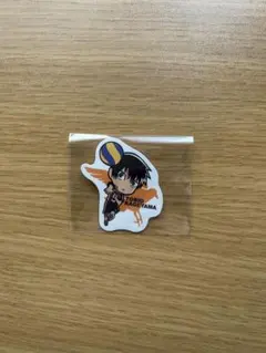 ハイキュー 菅原孝支 月島蛍 思い出シャイニー缶バッジ - メルカリ
