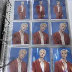 SEVENTEEN セブチ be the sun ホシ トレカ 16枚セット