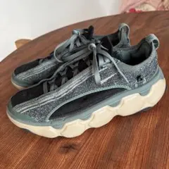 セール24.5cm ナイキ フライニット ブルーム FD2149-301