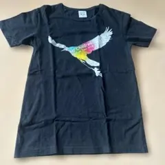 2026年最新】ミスチル tシャツ qの人気アイテム - メルカリ