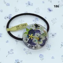 ハンドメイドNo.883 レジンヘアゴム❁⃘ノースポール、あじさい - メルカリ
