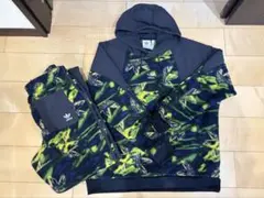 Item thumbnail for item c7c53947-76ac-40d2-947b-a4e2a3952698