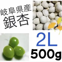 岐阜県産　銀杏　中粒　2L 藤九郎　500gのサムネイル
