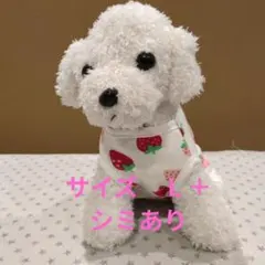 Item thumbnail for item 667068f7-6b27-4f51-8305-dfce90417fa5