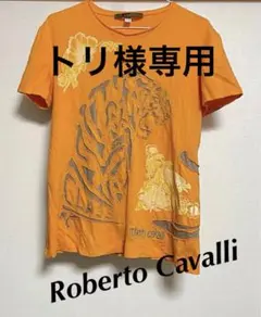 【トリ様専用】 ⭕️超美品❗️ Roberto Cavalli Tシャツのサムネイル