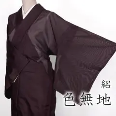 R8SK573 色無地 絽 夏物 薄物 家紋 剣片喰 シルク 落ち着いた青 着物