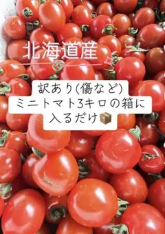 北海道産 ミニトマト 訳あり 3kg - メルカリ