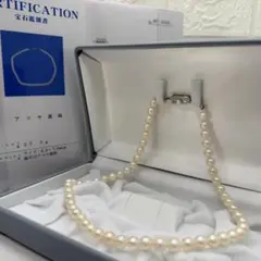 Item thumbnail for item c1897295-292e-4f6d-b4fb-939031050e85