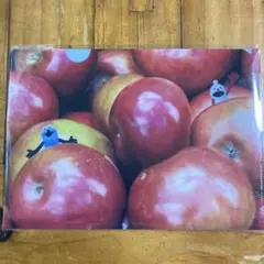 パペットスンスン 東京駅一番街 ノベルティ クリアファイル A5 1枚 りんご