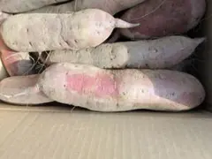 農薬・除草剤不使用　ベにはるか