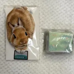 Item thumbnail for item 9ad34165-84b9-47dc-9ee3-c53ca1243ac3