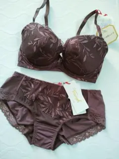 E65　トリンプゴールドレーベル ブラジャーショーツセット　プレミアムデザイン