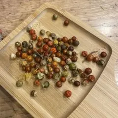 若竹様 リクエスト 2点 まとめ商品