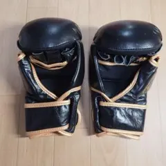新品2組セット】FBT ボクシンググローブ 10oz タイ・バンコク現地購入