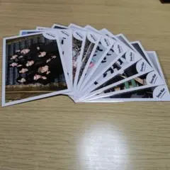 森林様 リクエスト 3点 まとめ商品