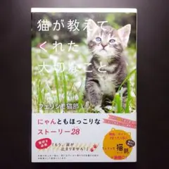 猫が教えてくれた大切なこと