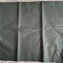 Item thumbnail for item 9fd7b388-1f4c-4820-a09a-e06584ae8446