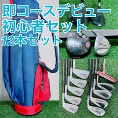 ロイヤルウェポン　初心者オススメ　ゴルフクラブ　メンズセット　右利き H4106 2026年最新】ロイヤルウェポン sho-buの人気アイテム - メルカリ