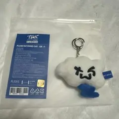 2026年最新】tws キーリング 公式の人気アイテム - メルカリ