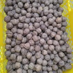 2026年最新】鬼クルミの人気アイテム - メルカリ