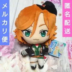 2026年最新】ぬいぐるみ 三毛縞斑の人気アイテム - メルカリ