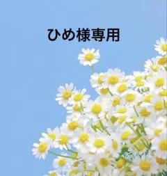 2025年最新】あみぐるみ馬の人気アイテム - メルカリ