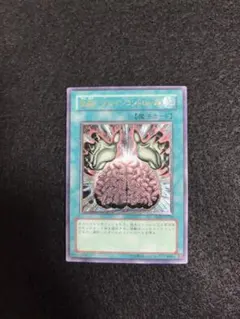遊戯王 洗脳−ブレインコントロール レリーフ 2枚セット TLM-JP038