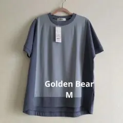 Item thumbnail for item 333eed28-a738-4409-b966-38338f8a34c0