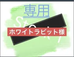 専用