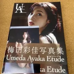 Item thumbnail for item c1fe53ee-4003-457e-b7a6-6f91d72cd2a5