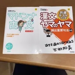 2冊組マドンナ古文パワーアップ版 別冊 「識別&訳し分け」付⭐️漢文ヤマのヤマ