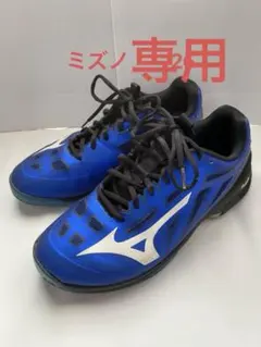 テニスシューズ 26 ミズノ　ウェーブエクシード　4 オールコート