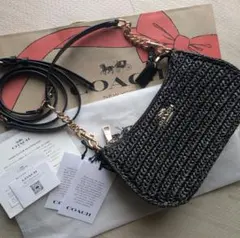 COACH　テリ ストロー ショルダー バッグ