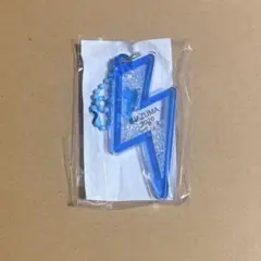 フェストイナズマ びわ湖キーホルダー 青