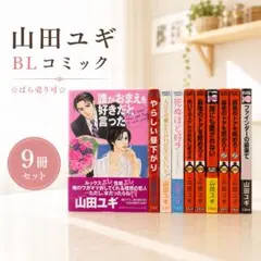 不破慎理 BLコミック 18冊セット ⭐︎ばら売り可⭐︎ - メルカリ