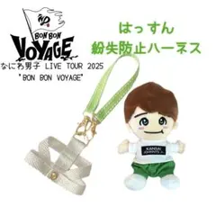 ⭕️即購入可　なにわ男子大橋和也/落下・紛失防止ハーネス