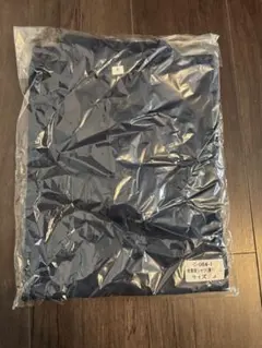 Item thumbnail for item 1044f31a-ff95-4e31-8a48-67aa81caaff4