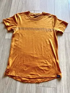 patagonia キャプリーン メリノ グラフィック TシャツXS レディース