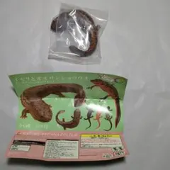 Item thumbnail for item 20062bd2-35f9-4e29-9270-1ebd82360850