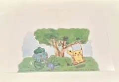 ポケモン　ポストカード　絵入りハガキ