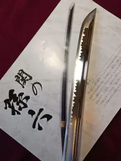 Item thumbnail for item 783a3598-8eea-4354-894a-c1b35a0b9a95