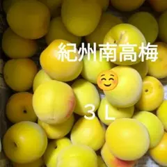 和歌山 紅 南高梅 4L〜3L 3kg クール便 - メルカリ
