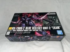 HG 1/144 ブルーディスティニー2号機 EXAM